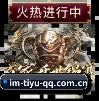 im官网 APP