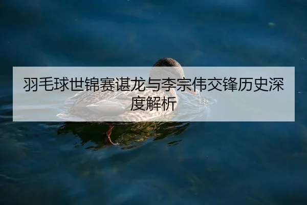 羽毛球世锦赛谌龙与李宗伟交锋历史深度解析